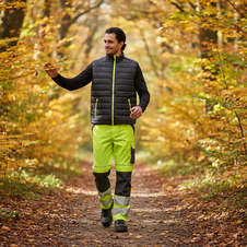 Vesta MAX VIVO   LIGH